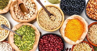 Der ultimative Leitfaden zu den besten Proteinquellen für Vegetarier