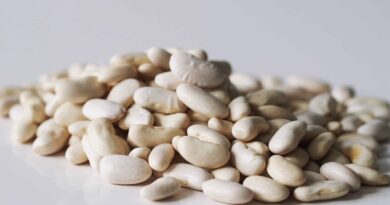 Alles, was Sie über Cannellini-Bohnen wissen müssen